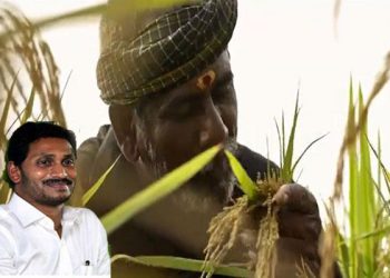 If Farmer Is Happy Then – State Will Prosper Says CM Jaganmohan Reddy – రైతు బాగుంటేనే రాష్ట్రం బాగుంటుంది