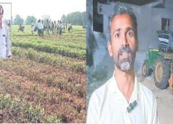 Tirupati Farmer Destroys his Crop to Blame YSRCP – Nara Lokesh Padayatra Publicity act…