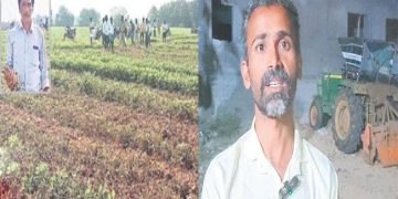 Tirupati Farmer Destroys his Crop to Blame YSRCP – Nara Lokesh Padayatra Publicity act…