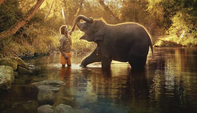 Oscars 2023-The Elephant Whisperers