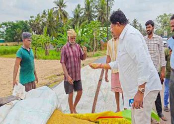 All the steps taken to move the harvested grain to the mills…