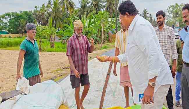 All the steps taken to move the harvested grain to the mills…