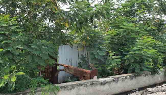 Need bus sheltor to be reinstalled-మూడేళ్లుగా రోడ్డు మార్జిన్ కంపల్లో బస్ షెల్టర్