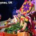 TTD Srinivasa Kalyanams organized across the UK and Europe concluded on a grand scale