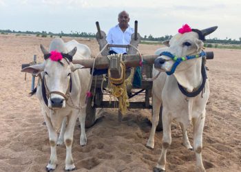 ఆంధ్ర ప్రదేశ్ అగ్రి మిషన్ – లక్ష్యం దిశగా అడుగులు పడుతున్నాయా ?