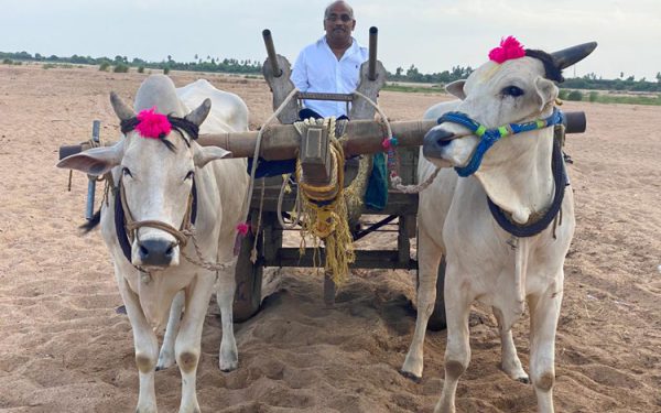 ఆంధ్ర ప్రదేశ్ అగ్రి మిషన్ – లక్ష్యం దిశగా అడుగులు పడుతున్నాయా ?