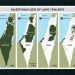 తరిగిపోయిన పాలస్తీనా భూభాగం-Reduced Palestinian territory after invasion and settlements