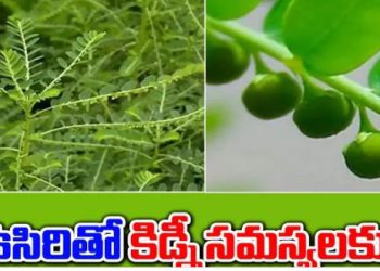 How to get rid of fatty liver problem. Is there a solution to this in Ayurveda?