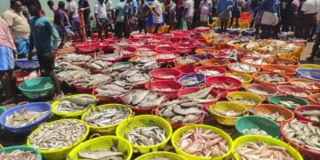 India’s seafood exports rose to a record ₹72,325.82 crore