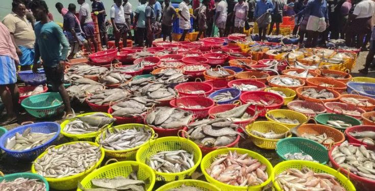 India’s seafood exports rose to a record ₹72,325.82 crore