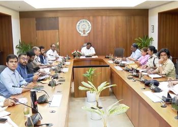 CS reviews arrangements for 80th Independence Day celebrations