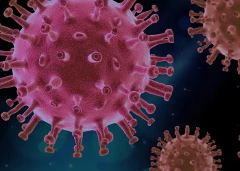 ఏపీలో మళ్లీ కరోనా కలకలం… నలుగురి మృతి – AP7AM