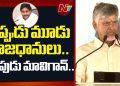 Chandrababu: 'అప్పుడు మూడు రాజధానులు.. ఇప్పుడు మావిగన్'.. జగన్పై చంద్రబాబు సెటైర్లు – NTV Telugu